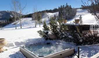 220 Buttermilk Ln, Aspen, CO 81611