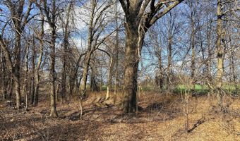 0001 CR-290, Asbury, MO 64832