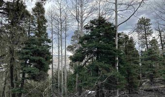 Lots 16 Lot17 Palo Flechado Ridge Road, Angel Fire, NM 87710