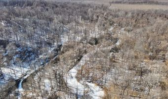 Sandy Branch Road, Bardwell, KY 42023