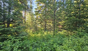 1000 Sanderson Ln, Bovill, ID 83806
