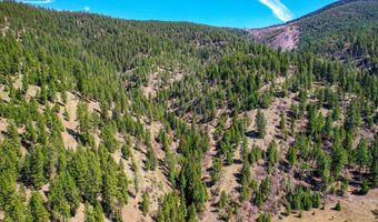 NNA Canary Creek Rd, Cataldo, ID 83810