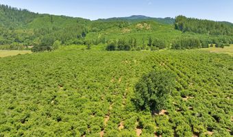 17246 ALSEA Hwy, Alsea, OR 97324