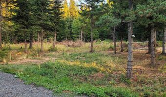 1000 Sanderson Ln, Bovill, ID 83806