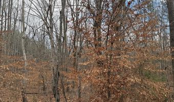 HARDWARE RD lot C1, Arvonia, VA 23004