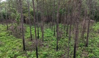 154 County Road 38 Acres, Banks, AL 36005