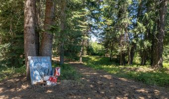 1251 CANYON Rd, Appleton, WA 98602