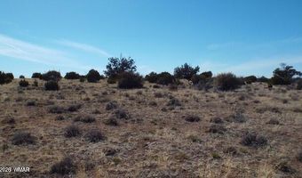 Parcel 107-52-046, Concho, AZ 85924