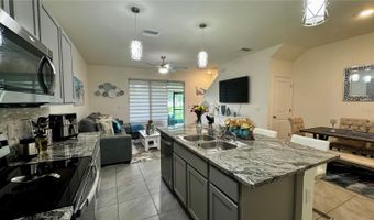 294 MANGROVE SHADE Cir, Apollo Beach, FL 33572