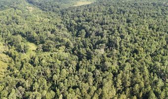 Swamp Road, Beech Island, SC 29842