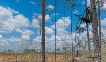 Tract # 6418 Southern Winds Lane Maddox Springs NW 97, Caryville, FL 32427