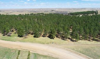Lot L2, Belle Fourche, SD 57717