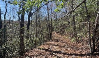 000 Holland Farm Rd, Andrews, NC 28901