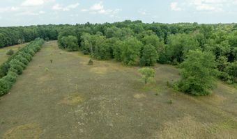 39 Acres N Pingree Rd, Alma, MI 48801
