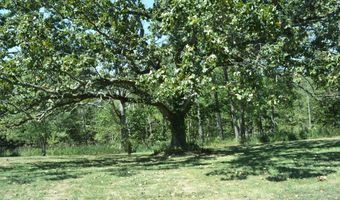 33202 E St Highway 14, Ava, MO 65608