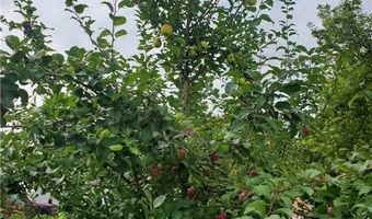 1501 7th Ave NW, Austin, MN 55912