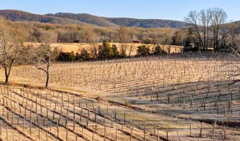 4500 WINERY Ln, Barboursville, VA 22923
