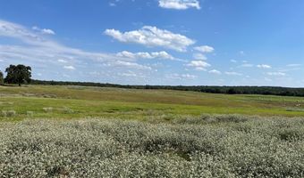 3688 N Fm 1655, Alvord, TX 76225