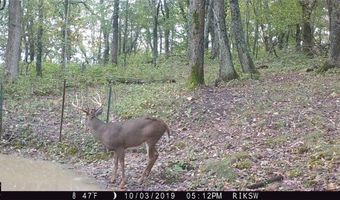 Simons Rd, Alma, WI 54610