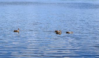 117 Middle Rd, Acton, ME 04001
