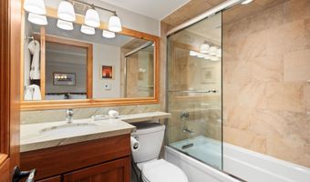 901 E Hyman Ave 13, Aspen, CO 81611