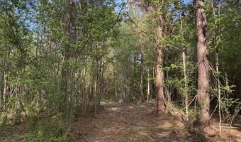 1311 A N Jackson St, Brookhaven, MS 39601