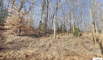 0 Reed Creek Dr, Bassett, VA 24055