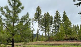 27 Sawtooth Loop Lot 23, Cascade, ID 83611