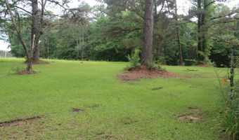 429 River Road Dr, Bogue Chitto, MS 39629