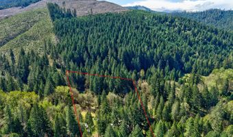 1293 STARVEOUT CREEK Rd, Azalea, OR 97410