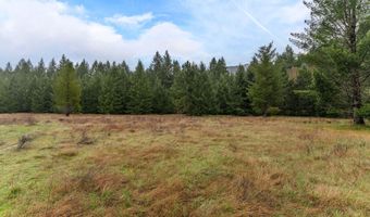 Upper Cow Creek Road, Azalea, OR 97410
