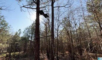 439 WILD ROSE Trl, Ashville, AL 35953