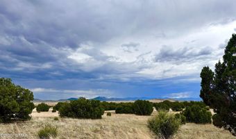 Tbd County Rd N3440, Concho, AZ 85924