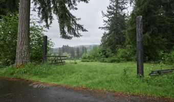NE 389th St, Amboy, WA 98601