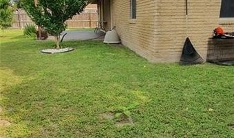 1319 Sago Palm St, Alamo, TX 78516