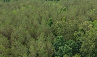 000 Fowler Rd, Beech Bluff, TN 38313