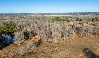 193444 Us Hwy 271, Antlers, OK 74523
