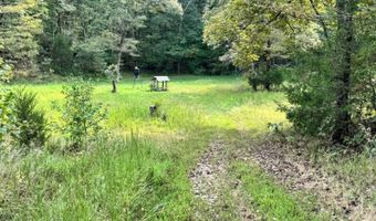 90 Mitchell Rd, Batesville, AR 72501