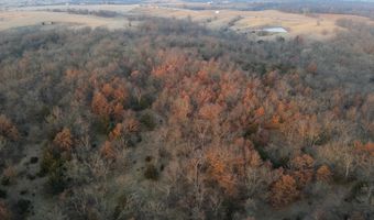 197 Th Trl, Albia, IA 52531