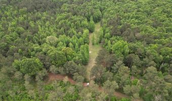 167 E W Morgan, Arcadia, LA 71001