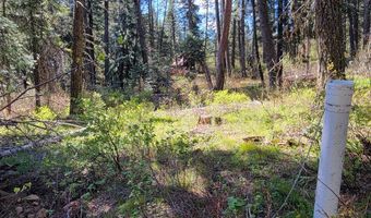 22 Melody Ln Lot 10, Cascade, ID 83611