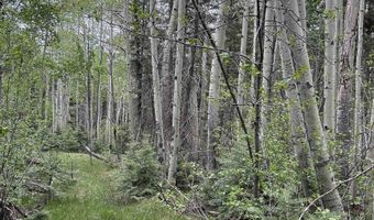 Lot 1419 Sacramento, Angel Fire, NM 87710