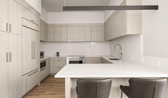 101 Willow Rd 206, Basalt, CO 81621