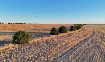 County RD KK5, Akron, CO 80720