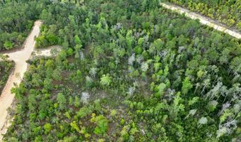 CASTLE CIRCLE, Alford, FL 32420
