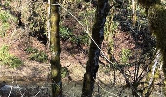 Logsden Rd, Blodgett, OR 97326