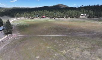 58 County Road N2122, Alpine, AZ 85920