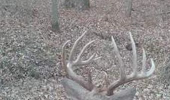 652 Nd St, Albia, IA 52531