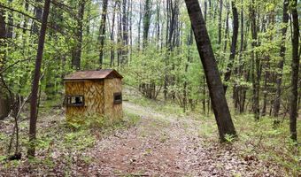 5826 S Morrison Rd, Alger, MI 48610