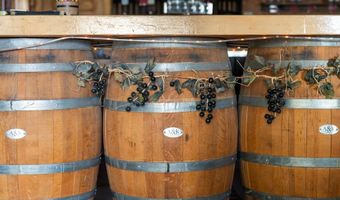 9090 M-68, Alanson, MI 49706